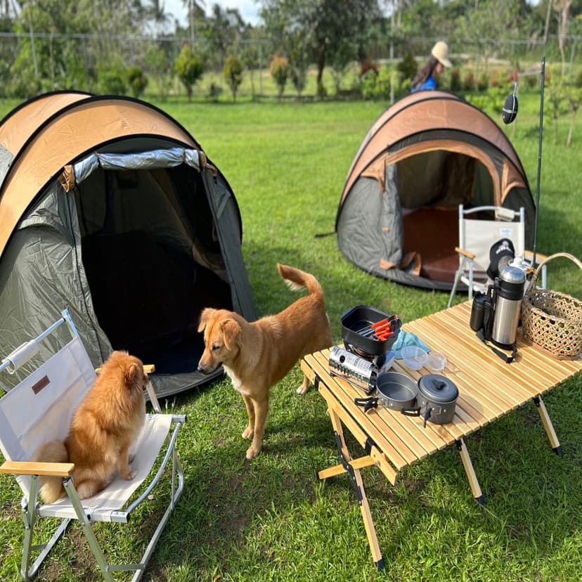 Eljoys Forest Resort pet-friendly accommodation - Family-friendly resort experience in Alfonso, Cavite